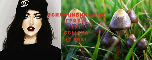 дживик Балабаново