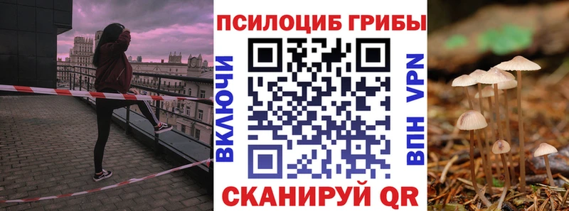 Галлюциногенные грибы Cubensis Красный Кут
